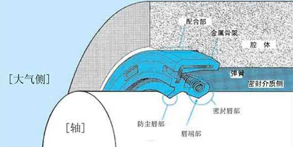 广一水泵油封