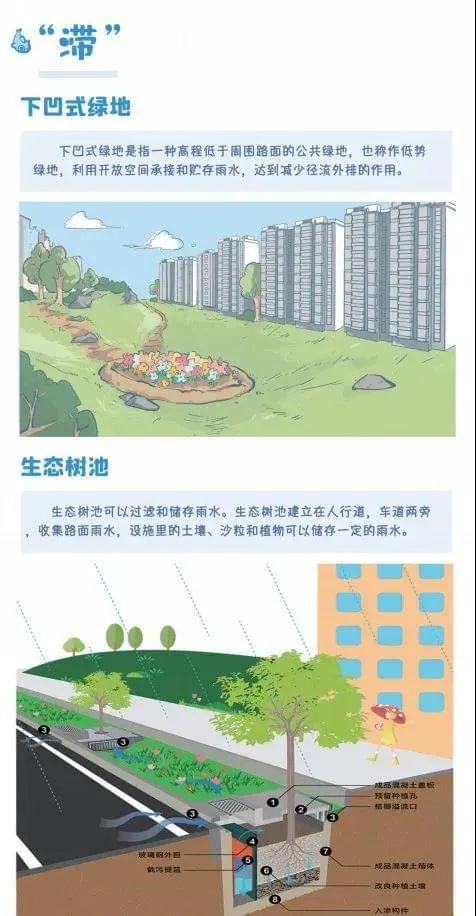 滞水