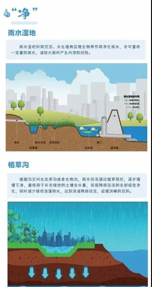 净水